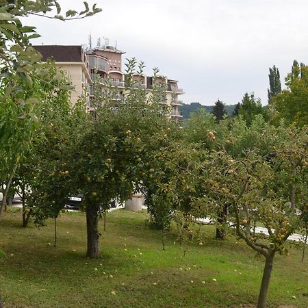 Apartmani Ana Vrdnik Exterior foto