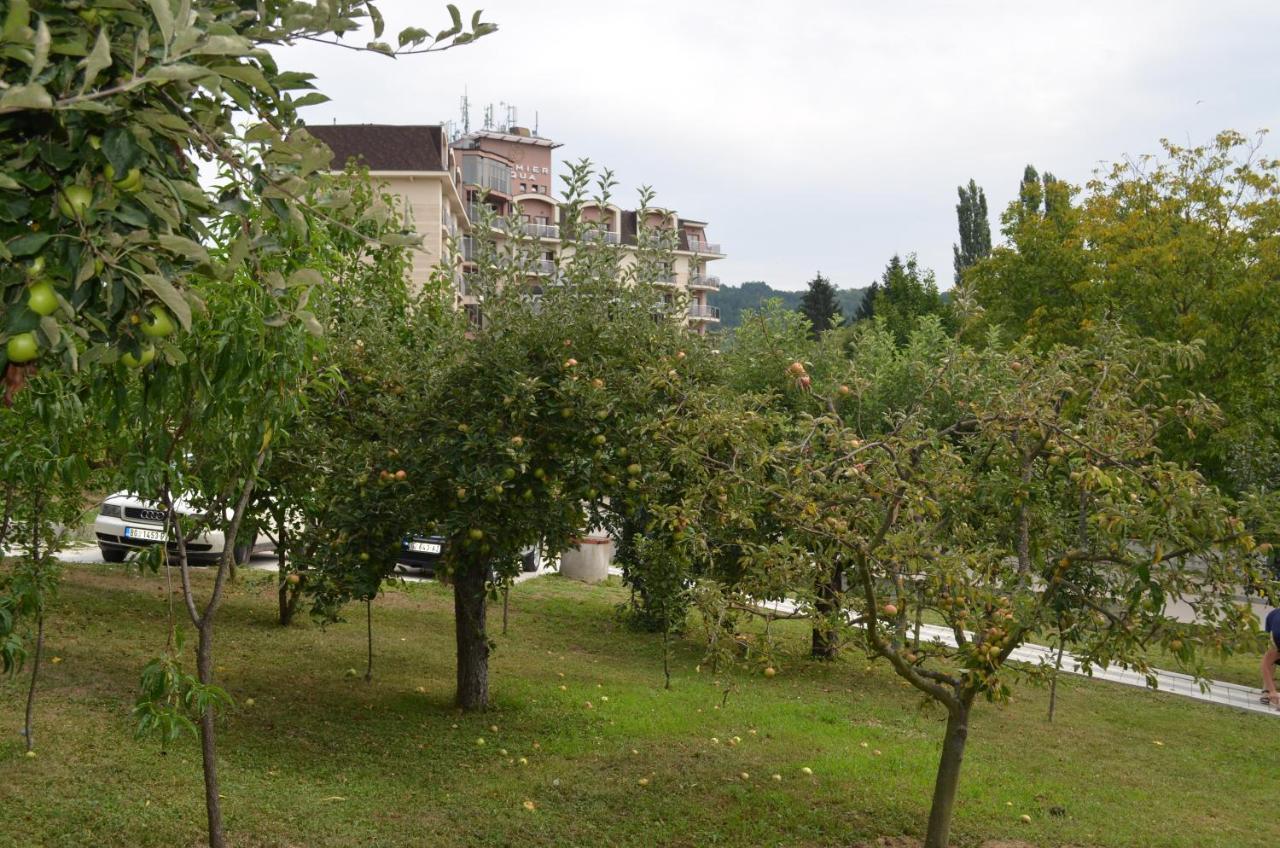 Apartmani Ana Vrdnik Exterior foto